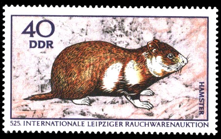 40 Pf Briefmarke: Internationale Rauchwarenauktion, Hamster