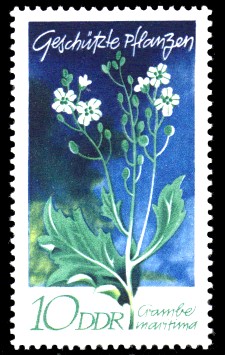 10 Pf Briefmarke: Geschützte Pflanzen, Seekohl