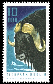 10 Pf Briefmarke: Tierpark Berlin, Moschusochse