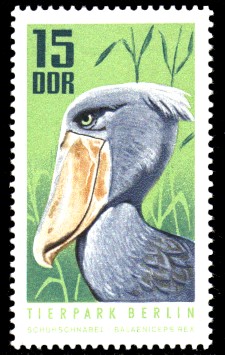 15 Pf Briefmarke: Tierpark Berlin, Schuhschnabel