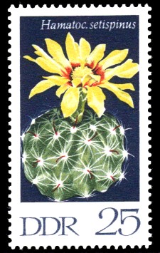 25 Pf Briefmarke: Kakteen, Hakenstachelkaktus 25 Pf Briefmarke: Kakteen, Hakenstachelkaktus
