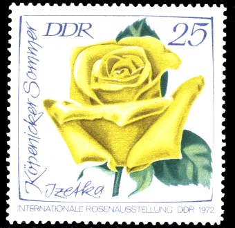 25 Pf Briefmarke: Internationale Rosenausstellung, Izetka Köpenicker Sommer