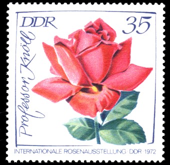 35 Pf Briefmarke: Internationale Rosenausstellung, Professor Knöll