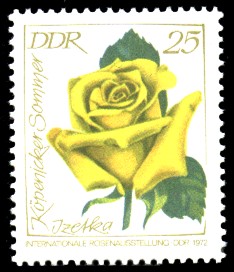 25 Pf Briefmarke: Internationale Rosenausstellung, Izetka Köpenicker Sommer