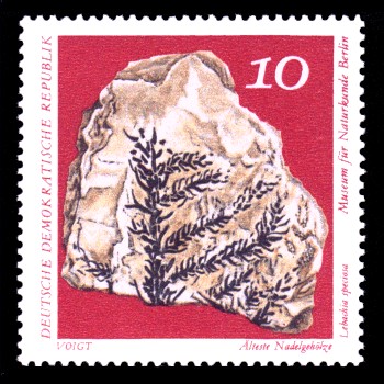 10 Pf Briefmarke: Paläontologische Sammlungen aus dem Museum für Naturkunde in Berlin 10 Pf Briefmarke: Paläontologische Sammlungen aus dem Museum für Naturkunde in Berlin