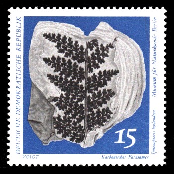 15 Pf Briefmarke: Paläontologische Sammlungen aus dem Museum für Naturkunde in Berlin 15 Pf Briefmarke: Paläontologische Sammlungen aus dem Museum für Naturkunde in Berlin
