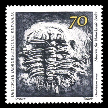 70 Pf Briefmarke: Paläontologische Sammlungen aus dem Museum für Naturkunde in Berlin 70 Pf Briefmarke: Paläontologische Sammlungen aus dem Museum für Naturkunde in Berlin