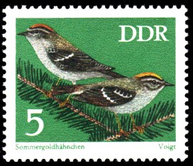 5 Pf Briefmarke: Naturschutz, Singvögel, Sommergoldhähnchen