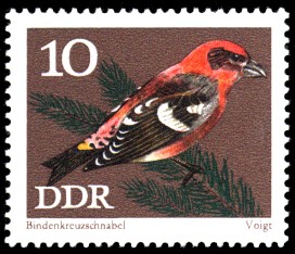 10 Pf Briefmarke: Naturschutz, Singvögel, Bindenkreuzschnabel