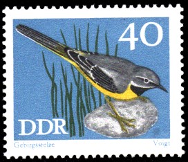 40 Pf Briefmarke: Naturschutz, Singvögel, Gebirgsstelze