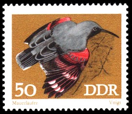 50 Pf Briefmarke: Naturschutz, Singvögel, Mauerläufer