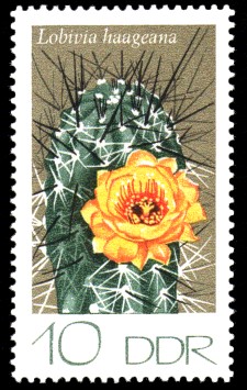 10 Pf Briefmarke: Kakteen, Lobivia haageana
