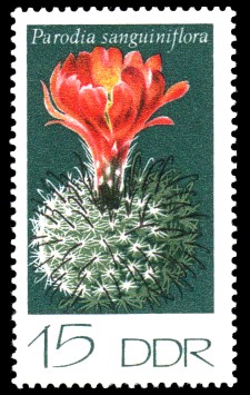 15 Pf Briefmarke: Kakteen, Parodia sanguiniflora