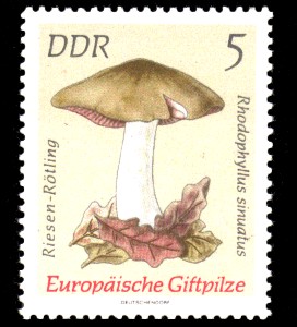 5 Pf Briefmarke: Europäische Giftpilze, Riesen-Rötling 5 Pf Briefmarke: Europäische Giftpilze, Riesen-Rötling