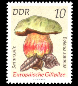 10 Pf Briefmarke: Europäische Giftpilze, Satanspilz 10 Pf Briefmarke: Europäische Giftpilze, Satanspilz