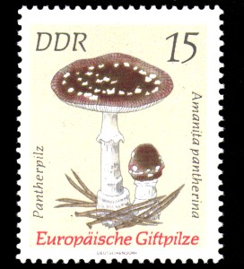 15 Pf Briefmarke: Europäische Giftpilze, Pantherpilz