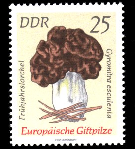 25 Pf Briefmarke: Europäische Giftpilze, Frühjahrslorchel