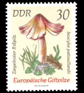 30 Pf Briefmarke: Europäische Giftpilze, Ziegelroter Rißpilz