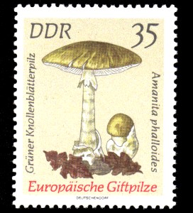 35 Pf Briefmarke: Europäische Giftpilze, Grüner Knollenblätterpilz