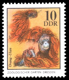 10 Pf Briefmarke: Orang-Utan, Tiere aus den Tierparks und zoologischen Gärten der DDR 10 Pf Briefmarke: Orang-Utan, Tiere aus den Tierparks und zoologischen Gärten der DDR