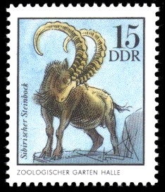 15 Pf Briefmarke: Steinbock, Tiere aus den Tierparks und zoologischen Gärten der DDR 15 Pf Briefmarke: Steinbock, Tiere aus den Tierparks und zoologischen Gärten der DDR