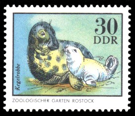 30 Pf Briefmarke: Kegelrobbe, Tiere aus den Tierparks und zoologischen Gärten der DDR