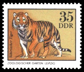 35 Pf Briefmarke: Sibirischer Tiger, Tiere aus den Tierparks und zoologischen Gärten der DDR