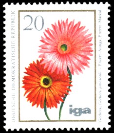 20 Pf Briefmarke: iga Blumenzüchtungen, Gerbera 20 Pf Briefmarke: iga Blumenzüchtungen, Gerbera