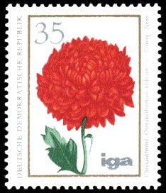 35 Pf Briefmarke: iga Blumenzüchtungen, Chrysantheme 35 Pf Briefmarke: iga Blumenzüchtungen, Chrysantheme