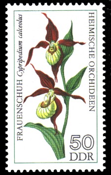 50 Pf Briefmarke: Heimische Orchideen, Frauenschuh