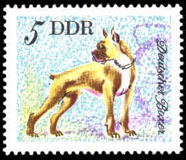 5 Pf Briefmarke: Hunde, Hunderassen, Deutscher Boxer 5 Pf Briefmarke: Hunde, Hunderassen, Deutscher Boxer