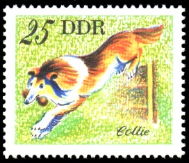 25 Pf Briefmarke: Hunde, Hunderassen, Collie