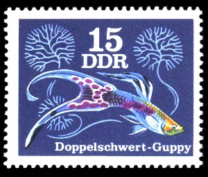15 Pf Briefmarke: Zierfische, Doppelschwert-Guppy 15 Pf Briefmarke: Zierfische, Doppelschwert-Guppy