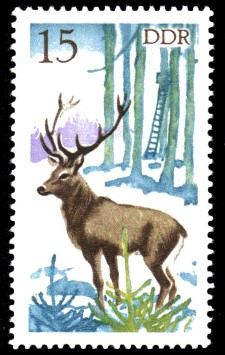 15 Pf Briefmarke: Jagd in der DDR, Rothirsch 15 Pf Briefmarke: Jagd in der DDR, Rothirsch