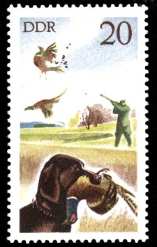 20 Pf Briefmarke: Jagd in der DDR, Fasan