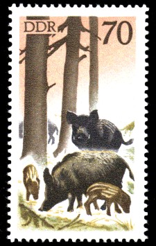 70 Pf Briefmarke: Jagd in der DDR, Wildschwein