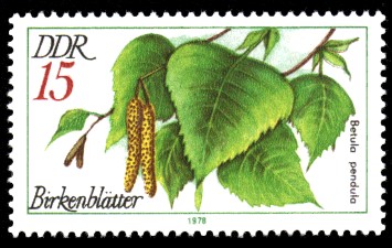 15 Pf Briefmarke: Arzneipflanzen, Birkenblätter