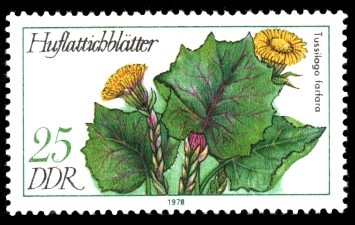 25 Pf Briefmarke: Arzneipflanzen, Huflattichblätter