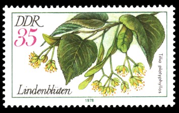 35 Pf Briefmarke: Arzneipflanzen, Lindenblüten