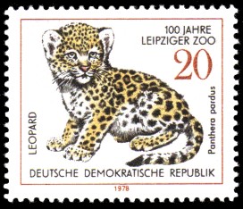 20 Pf Briefmarke: 100 Jahre Leipziger Zoo, Leopard