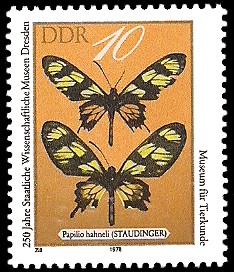 10 Pf Briefmarke: 250 Jahre Staatliche Wissenschaftliche Museen Dresden, Papilio hahneli 10 Pf Briefmarke: 250 Jahre Staatliche Wissenschaftliche Museen Dresden, Papilio hahneli