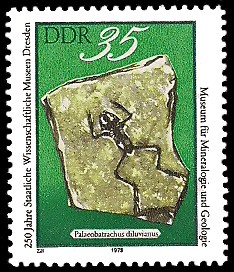 35 Pf Briefmarke: 250 Jahre Staatliche Wissenschaftliche Museen Dresden, Palaeobatrachus diluvianus 35 Pf Briefmarke: 250 Jahre Staatliche Wissenschaftliche Museen Dresden, Palaeobatrachus diluvianus