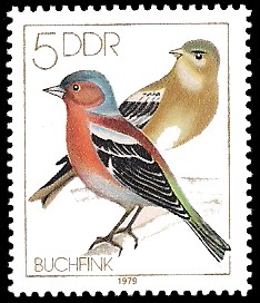 5 Pf Briefmarke: Heimische Singvögel, Buchfink 5 Pf Briefmarke: Heimische Singvögel, Buchfink
