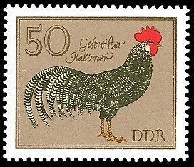 50 Pf Briefmarke: Rassegeflügel, Gestreifter Italiener