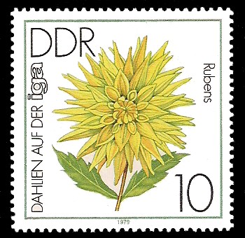 10 Pf Briefmarke: Dahlien auf der iga, Rubens