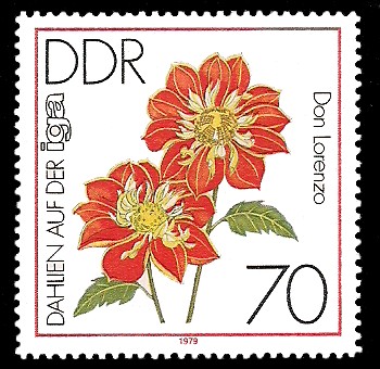 70 Pf Briefmarke: Dahlien auf der iga, Don Lorenzo 70 Pf Briefmarke: Dahlien auf der iga, Don Lorenzo