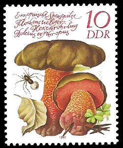 10 Pf Briefmarke: Europäische Speisepilze, Flockenstieliger Hexenröhrling