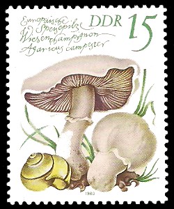 15 Pf Briefmarke: Europäische Speisepilze, Wiesenchampignon 15 Pf Briefmarke: Europäische Speisepilze, Wiesenchampignon