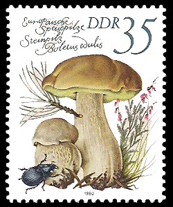 35 Pf Briefmarke: Europäische Speisepilze, Steinpilz 35 Pf Briefmarke: Europäische Speisepilze, Steinpilz