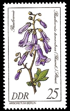 25 Pf Briefmarke: Seltenes Gehölz, Paulownie